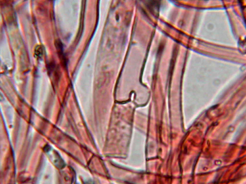 Quiz.z.z.z.z.z......